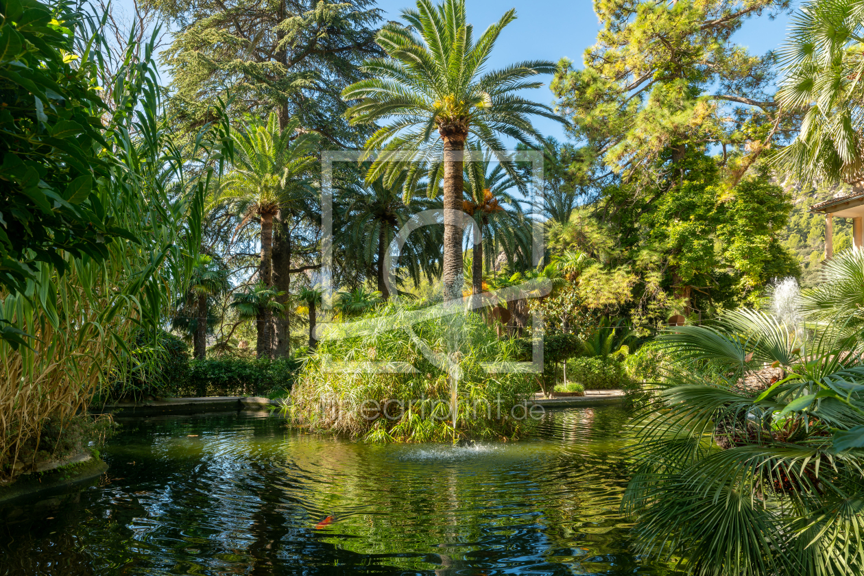 Bild-Nr.: 12870973 Wasserspiele am Teich auf Mallorca erstellt von volker heide