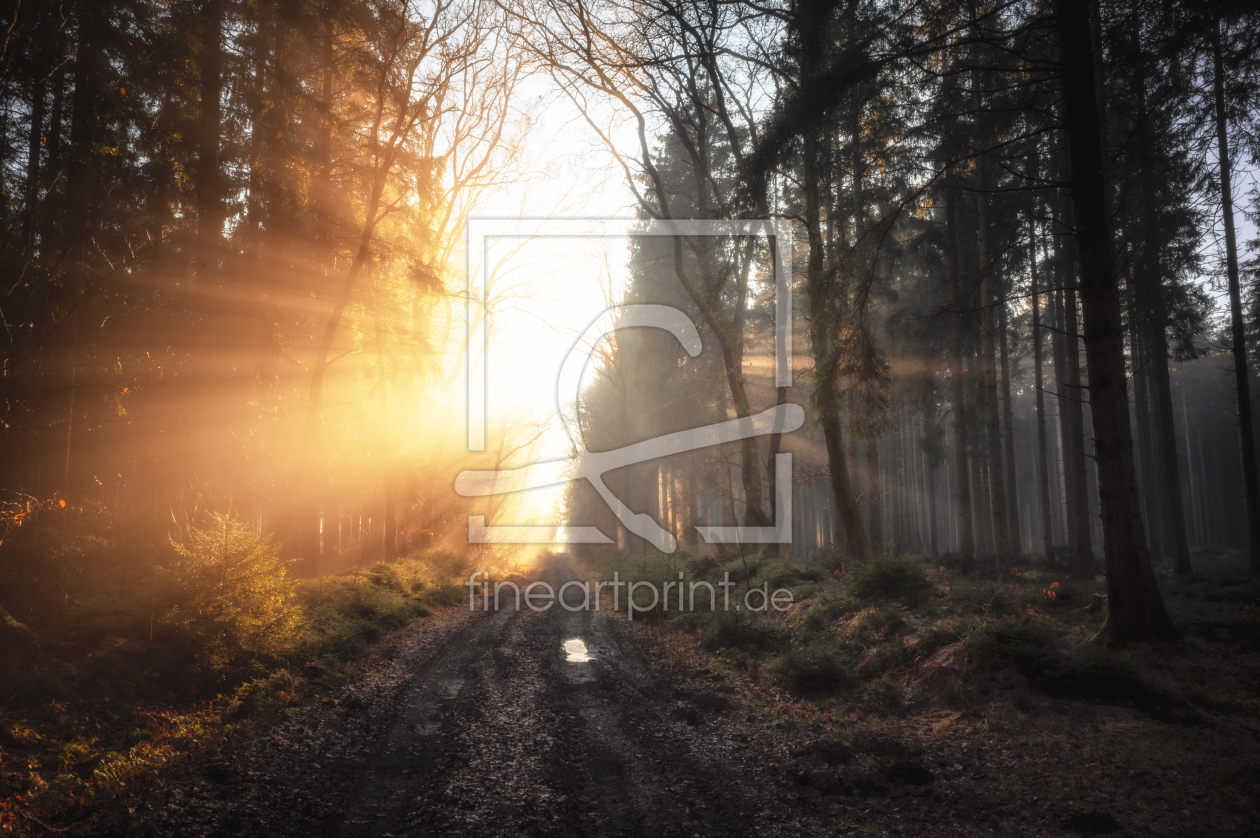Bild-Nr.: 12877210 Sonnenweg erstellt von Nordbilder