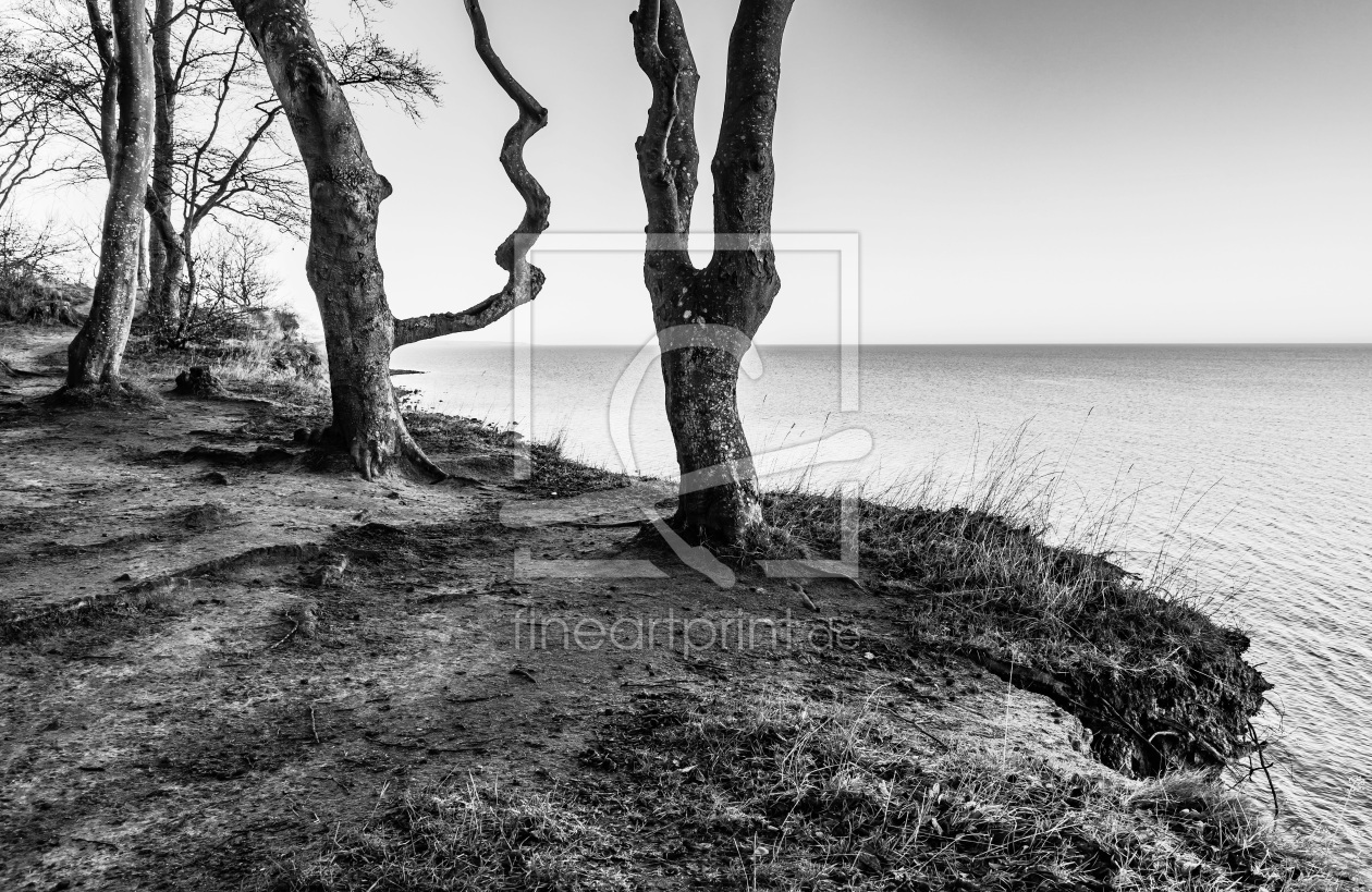 Bild-Nr.: 12879472 Ostseeblick über die Abbruchkante    _S_W_ erstellt von Ursula Reins