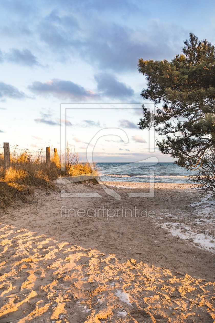 Bild-Nr.: 12880919 Dünenweg zum Ostseestrand erstellt von Ursula Reins