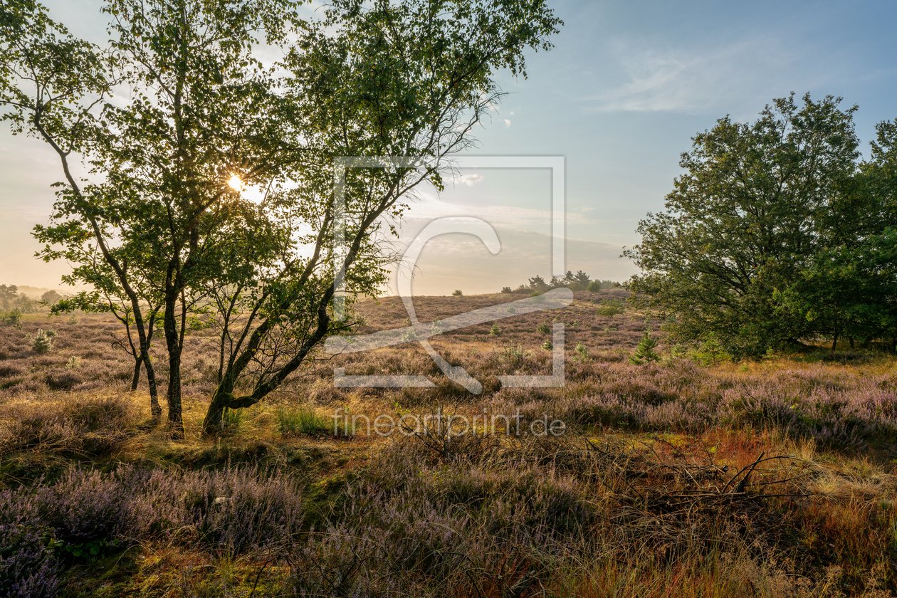 Bild-Nr.: 12882287 Mystische Heidelandschaft erstellt von volker heide