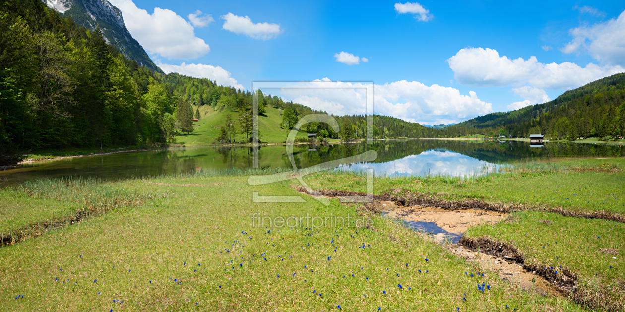 Bild-Nr.: 12887599 Enzianwiese am Ferchensee erstellt von SusaZoom