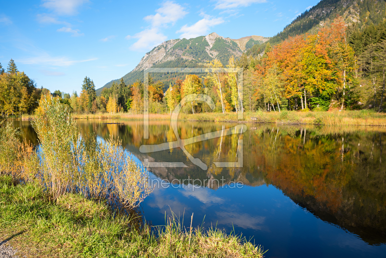 Bild-Nr.: 12887763 Moorweiher Oberstdorf Herbstidylle V erstellt von SusaZoom