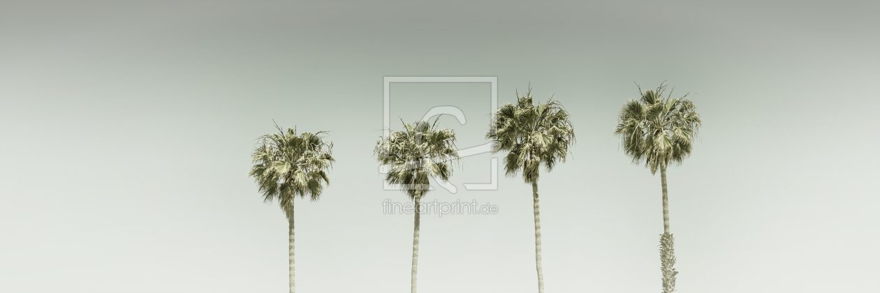 Bild-Nr.: 12893121 Vintage Palmenidylle im Panorama erstellt von Melanie Viola