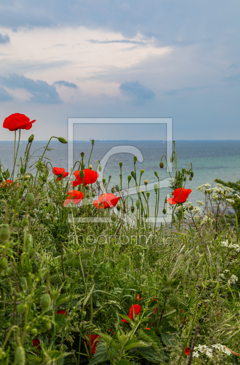 Bild-Nr.: 12895815 Sommerfrische an der Ostsee  erstellt von Ursula Reins
