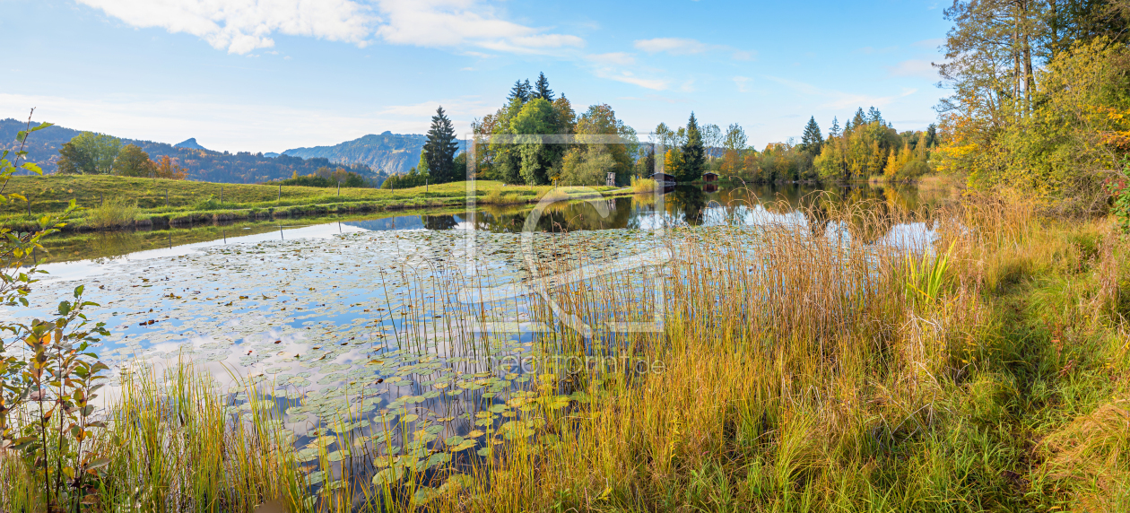 Bild-Nr.: 12896185 Moorweiher in Oberstdorf Herbstlandschaft erstellt von SusaZoom