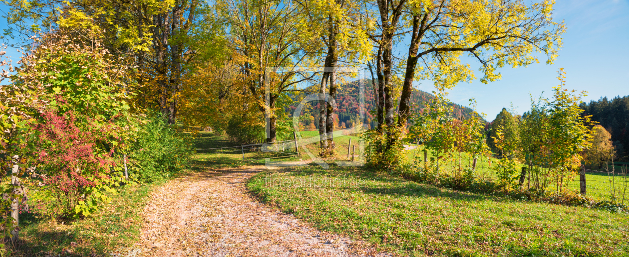 Bild-Nr.: 12902353 Herbstspaziergang Lenggries erstellt von SusaZoom