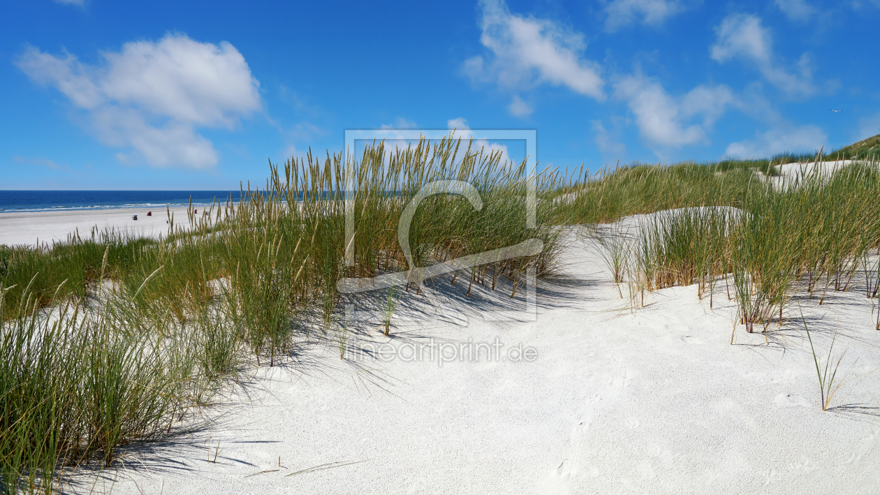 Bild-Nr.: 12905006 Amrum erstellt von Reiner Würz