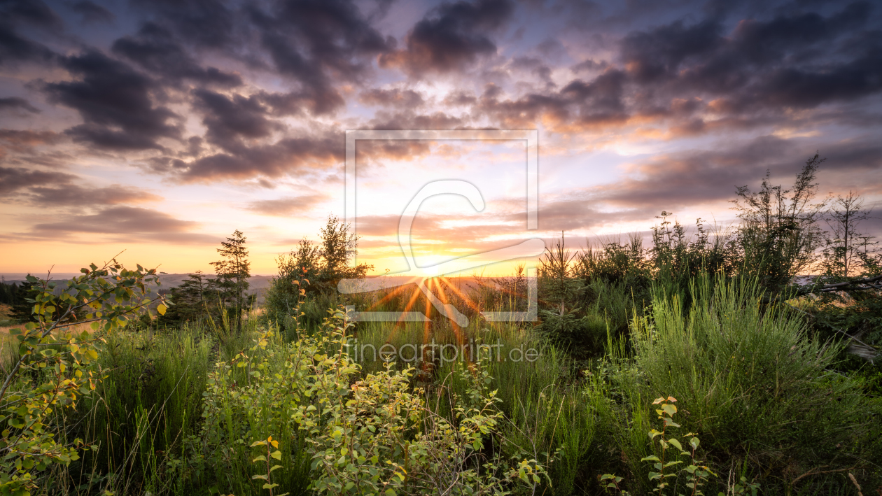 Bild-Nr.: 12905408 Sunset in the Harz  erstellt von Steffen Henze