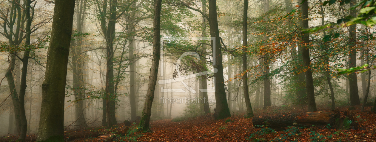 Bild-Nr.: 12906121 Panorama eines Waldes mit Nebel im Herbst erstellt von Smileus