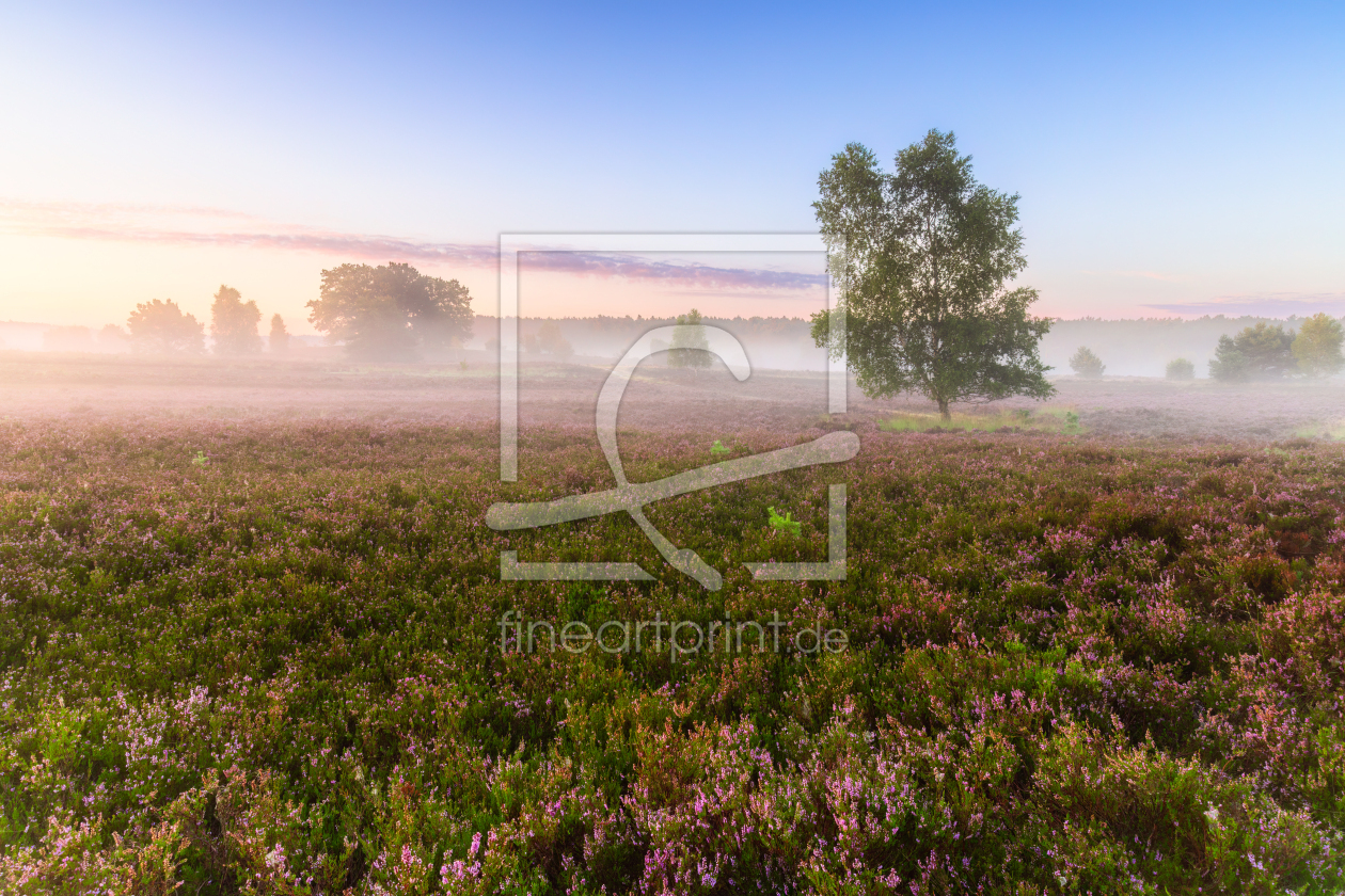 Bild-Nr.: 12908262 Morgenstimmung in der Lüneburger Heide erstellt von Daniela Beyer