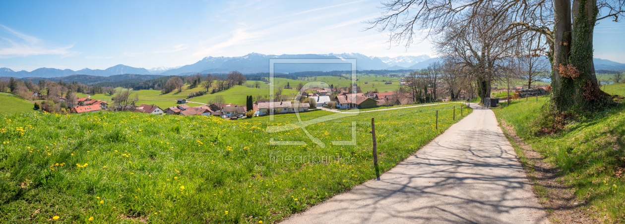 Bild-Nr.: 12908582 Frühlingsweg Aidling in Oberbayern erstellt von SusaZoom