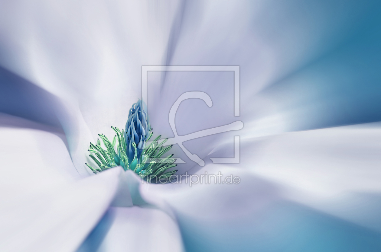 Bild-Nr.: 12909954 Magnolie erstellt von Atteloi