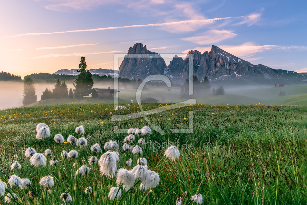 Bild-Nr.: 12910238 Sommer auf der Seiser Alm Südtirol erstellt von Achim Thomae