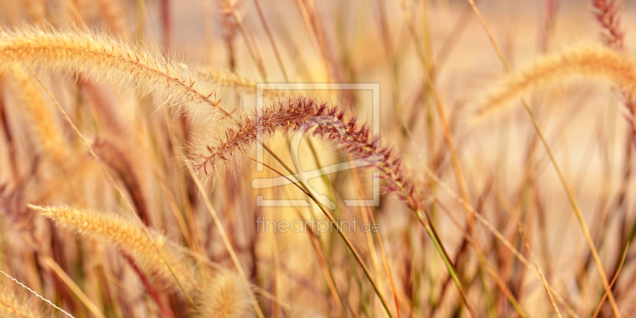Bild-Nr.: 12910362 Herbstfarben erstellt von Atteloi