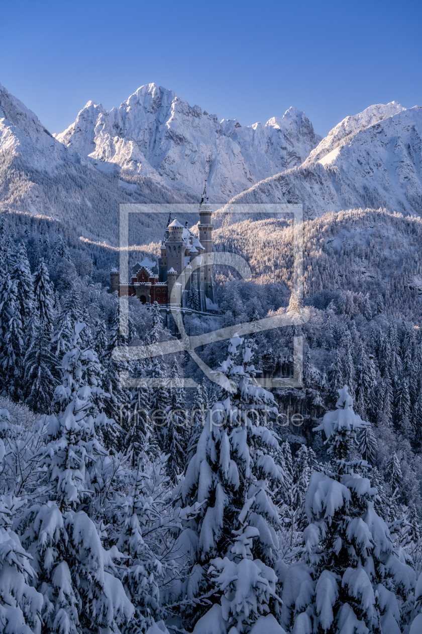 Bild-Nr.: 12911544 Neuschwanstein im Winter erstellt von Achim Thomae