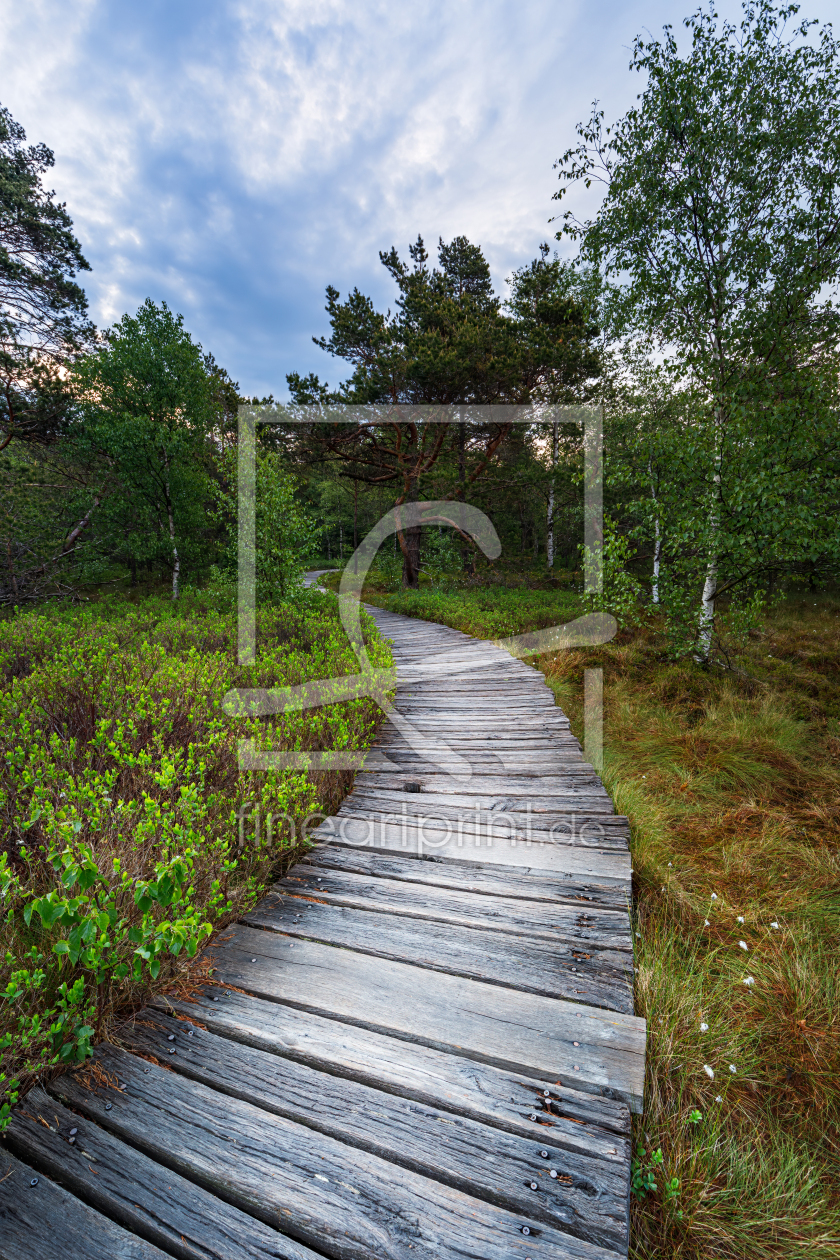 Bild-Nr.: 12912341 Wege und Pfade XI erstellt von Daniela Beyer