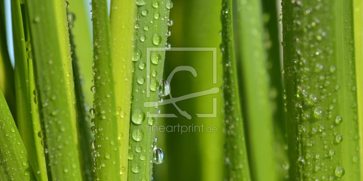 Bild-Nr.: 12912346 Tropfen erstellt von Atteloi