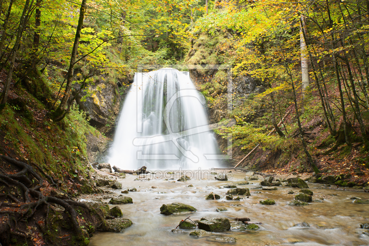 Bild-Nr.: 12912612 Josefsthaler Wasserfall Schliersee II erstellt von SusaZoom
