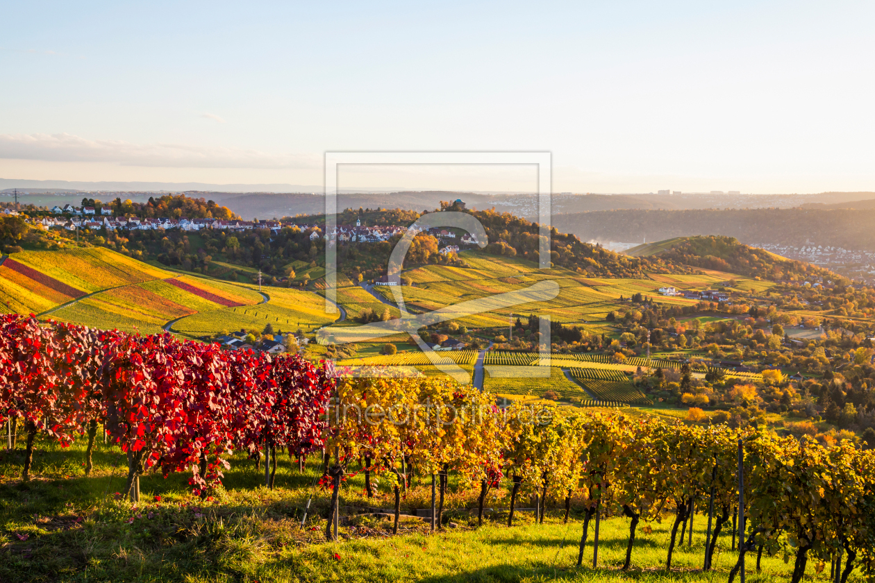 Bild-Nr.: 12913183 Weinberge und Grabkapelle in Stuttgart im Herbst erstellt von dieterich