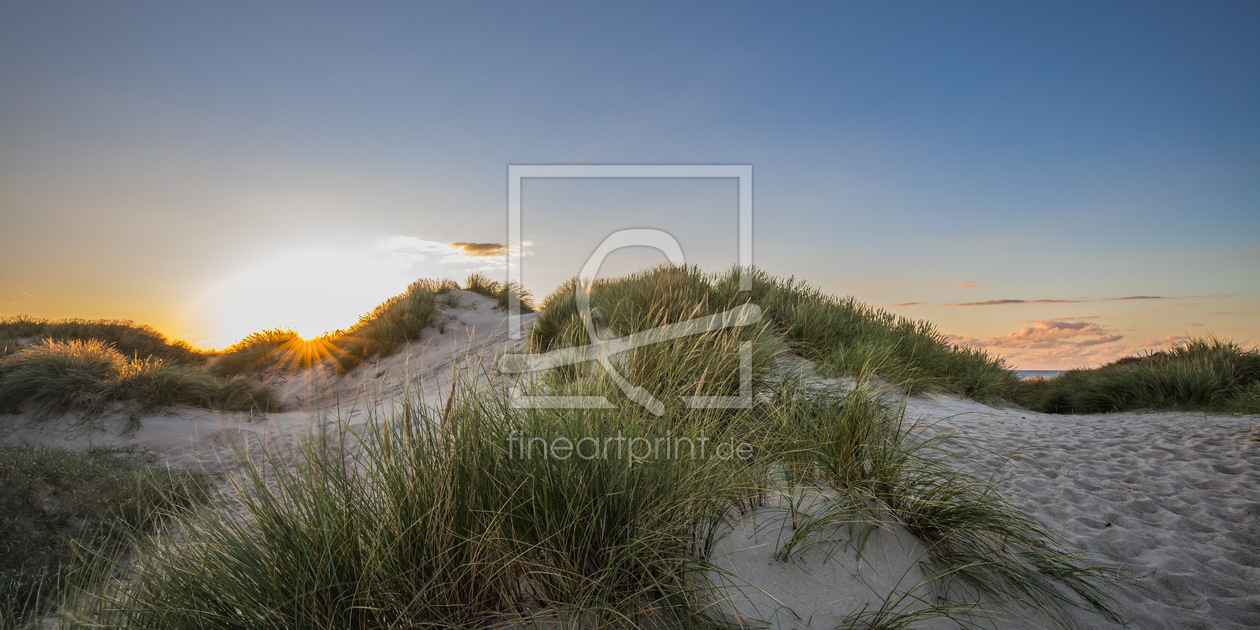 Bild-Nr.: 12913256 Sonnenstrahlen in den Stranddünen erstellt von Ursula Reins