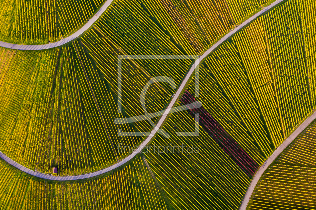 Bild-Nr.: 12913896 Luftbild Weinberg am Kappelberg in Fellbach erstellt von dieterich