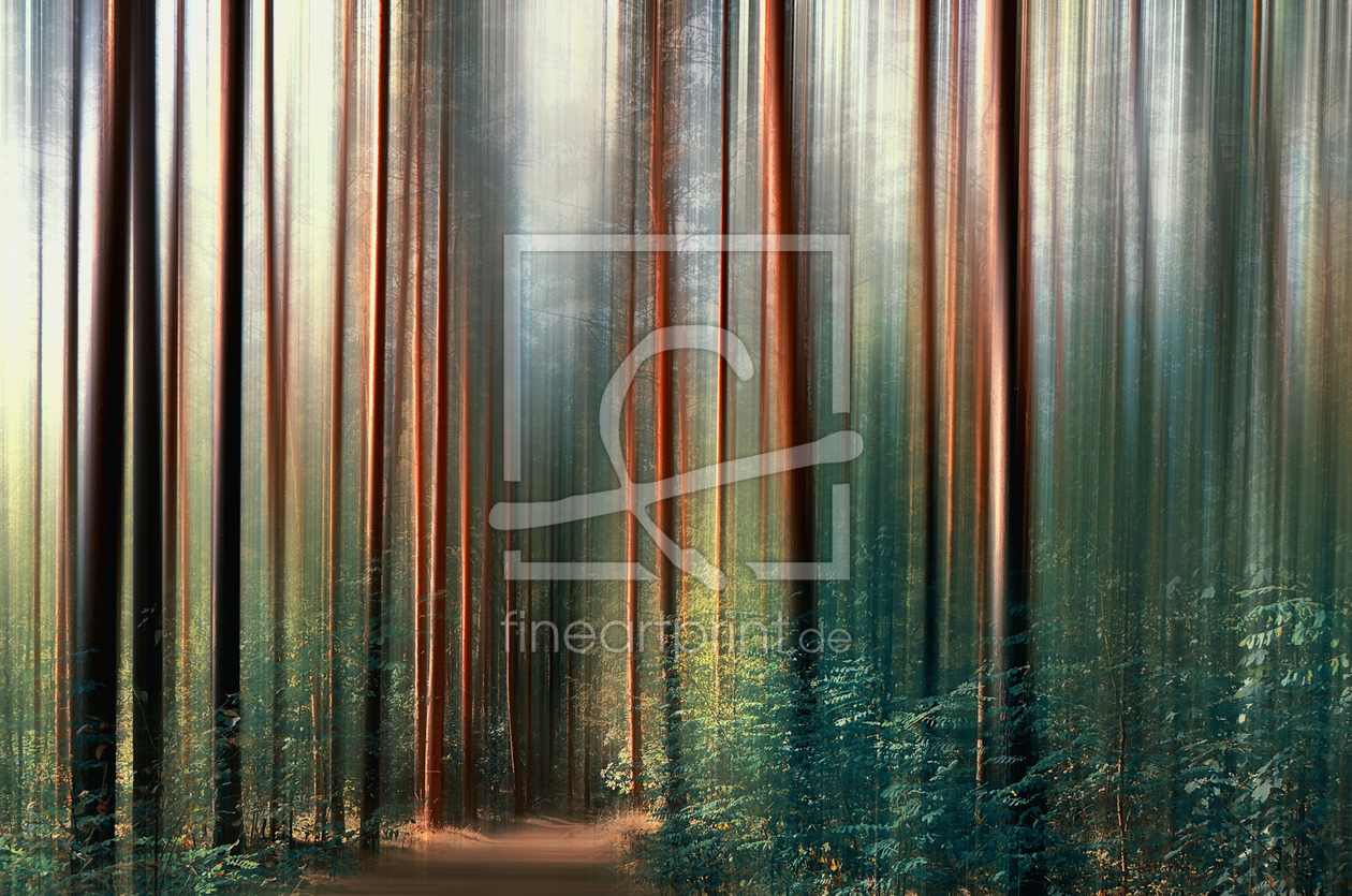 Bild-Nr.: 12913968 Zauberwald erstellt von Atteloi