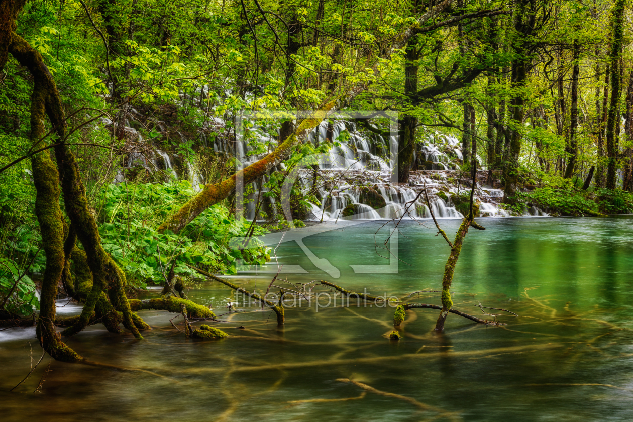 Bild-Nr.: 12914141 wilder Wasserwald erstellt von Daniela Beyer