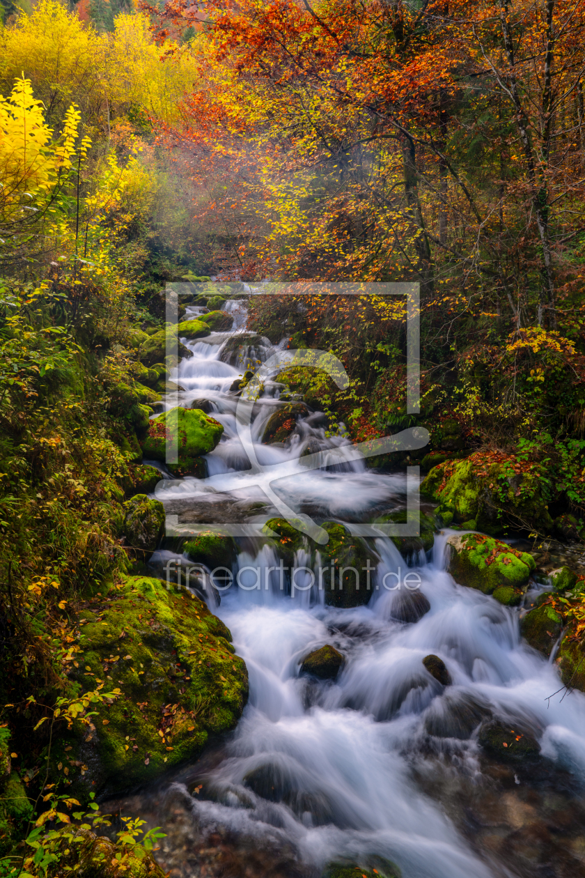 Bild-Nr.: 12914921 Herbst erstellt von Achim Thomae