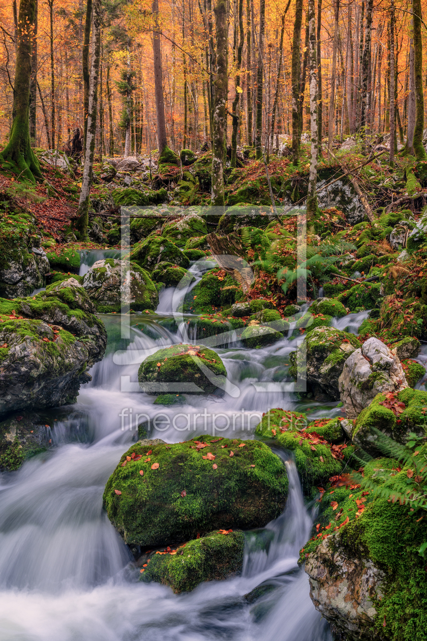 Bild-Nr.: 12914922 Herbstwald erstellt von Achim Thomae