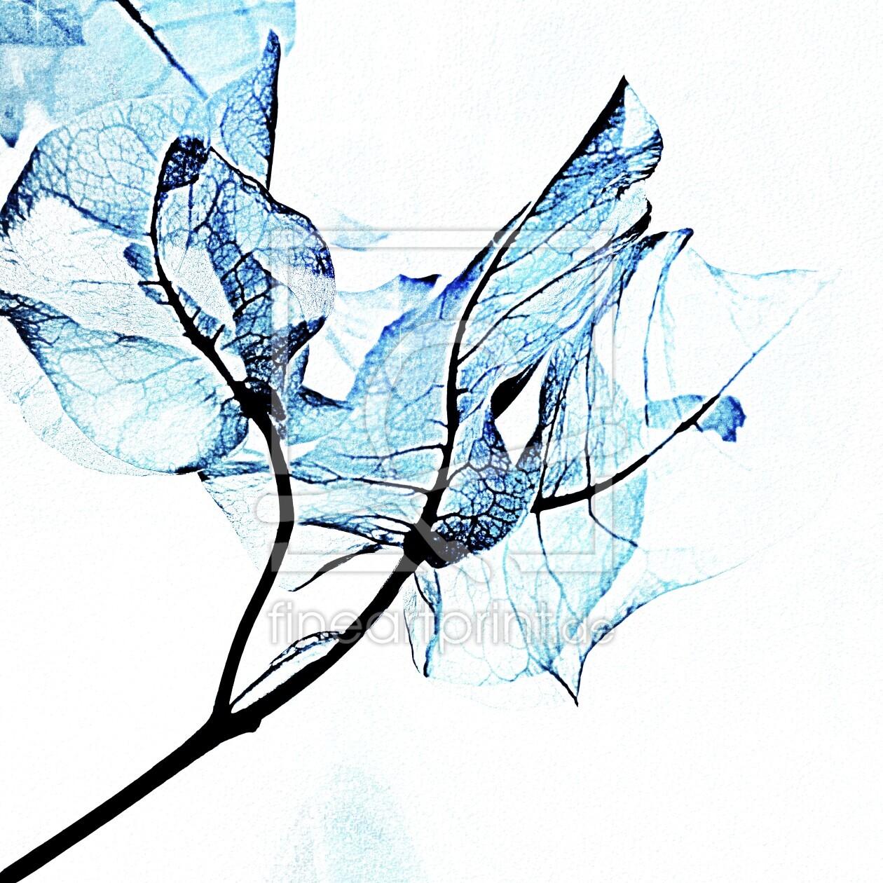 Bild-Nr.: 12915390 Bougainvillea mixed media erstellt von Schwob