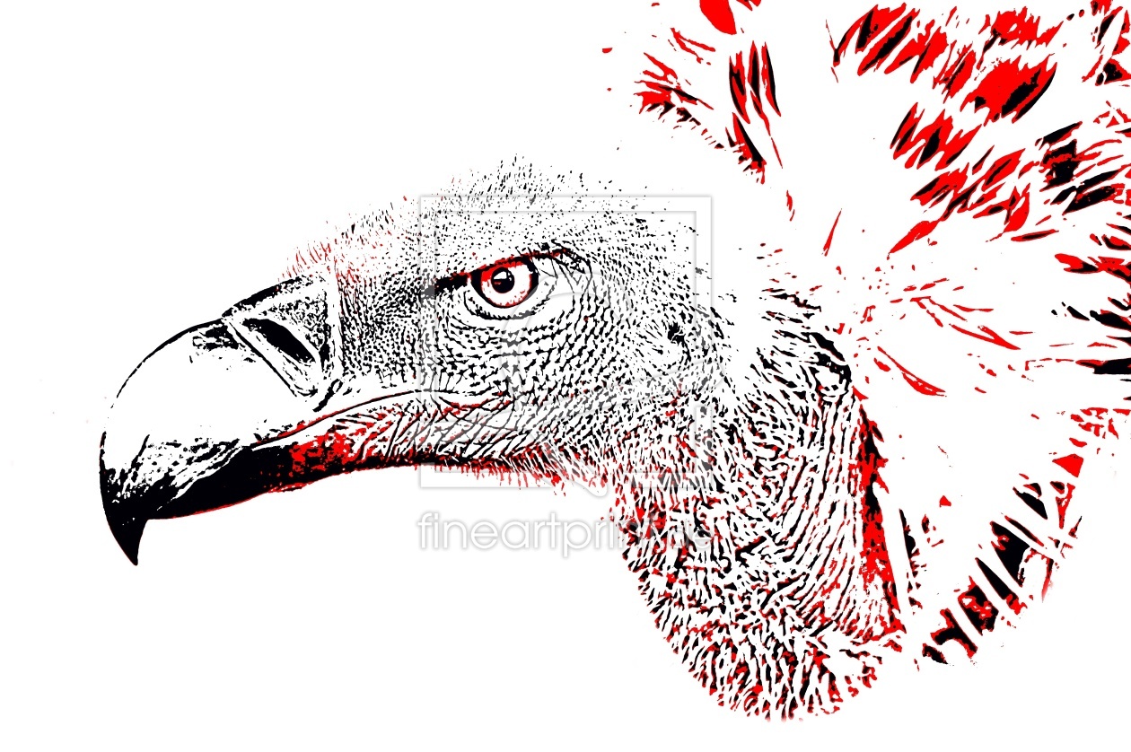 Bild-Nr.: 12915391 Portrait eines Kapgeiers mixed media erstellt von Schwob