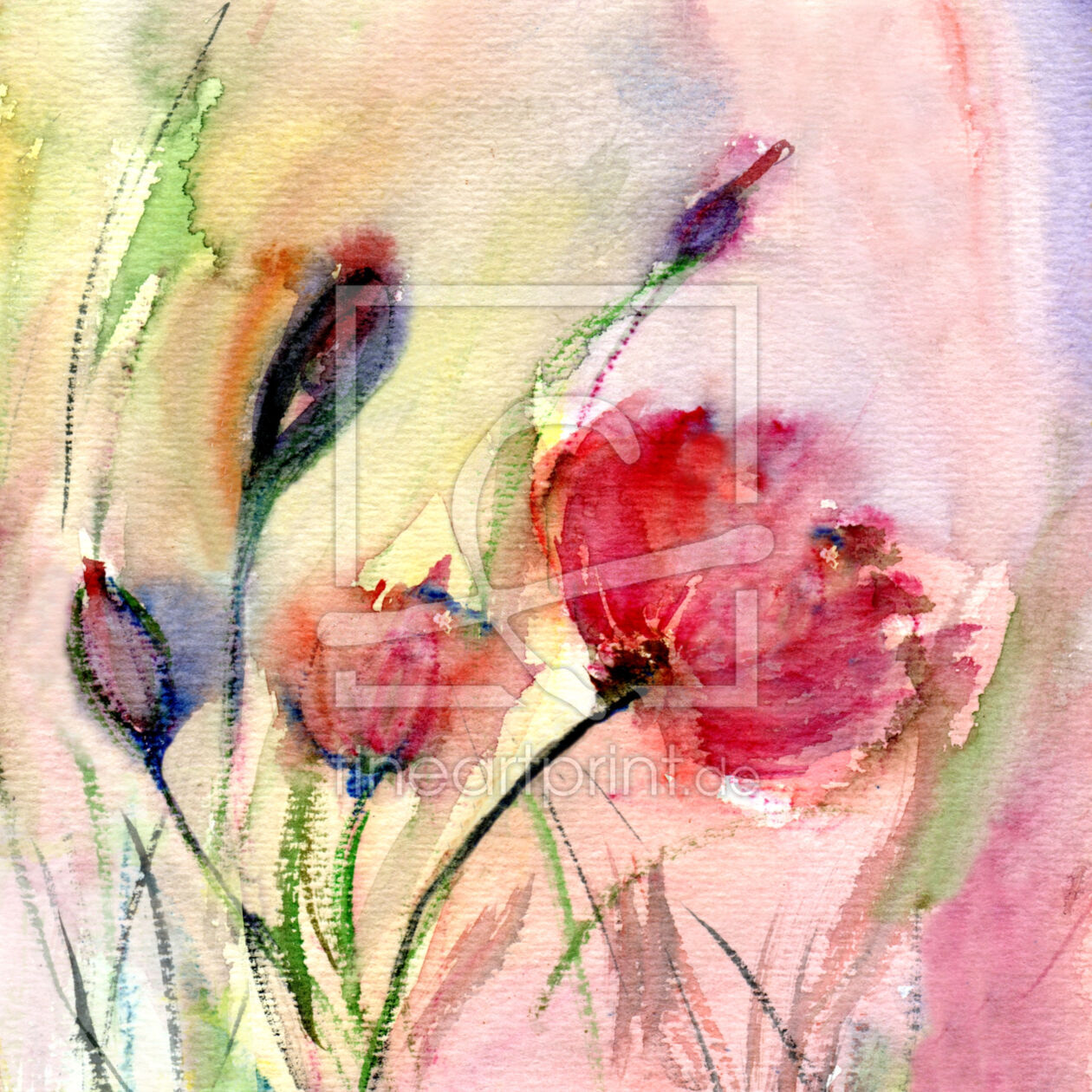 Bild-Nr.: 12916326 Mohn Aquarell erstellt von ClaudiaG
