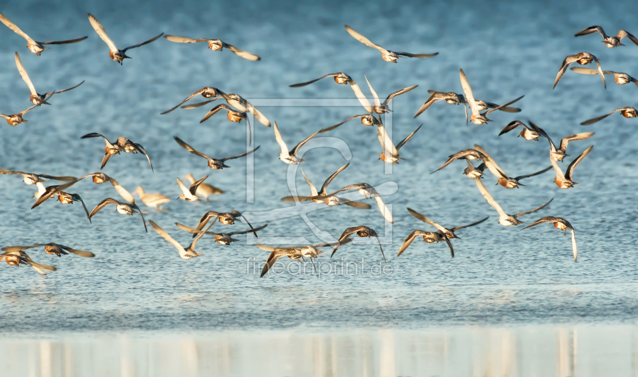 Bild-Nr.: 12916451 Abflug von Sylt erstellt von Nordbilder