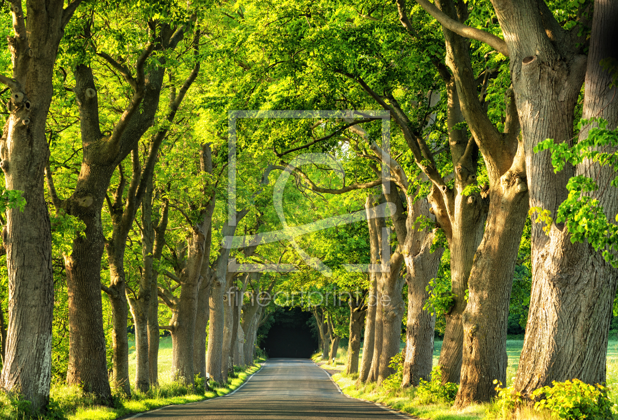Bild-Nr.: 12916772 Black Hole Rügen erstellt von Nordbilder