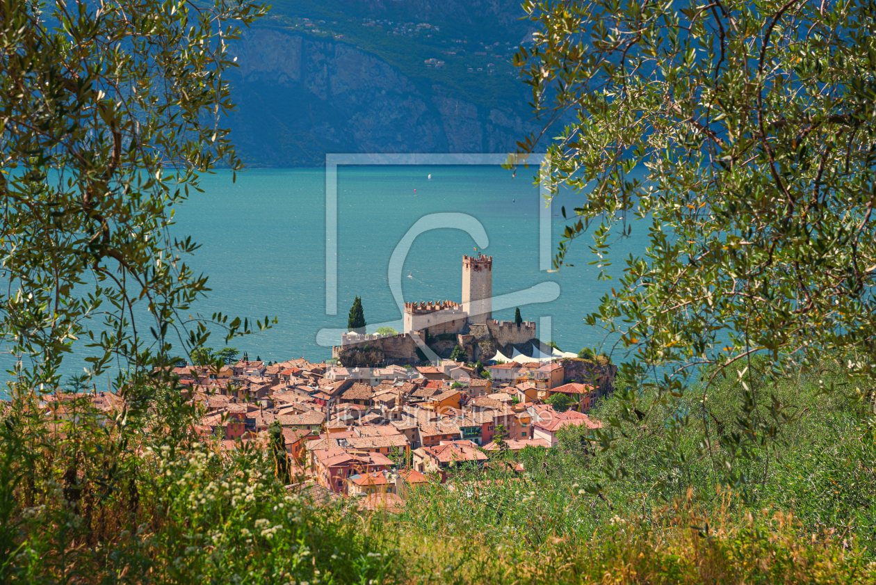 Bild-Nr.: 12916908 Olivenhain mit Blick zur Altstadt Malcesine erstellt von SusaZoom