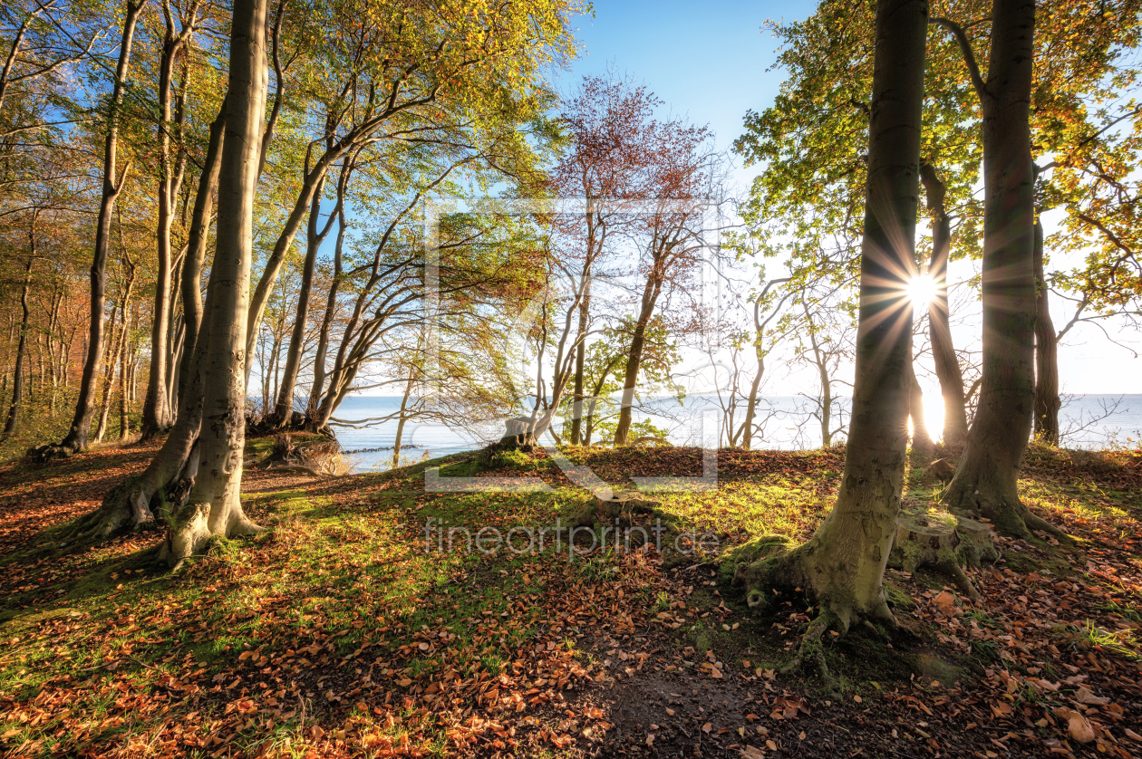 Bild-Nr.: 12916947 Lichtweg an der Ostsee erstellt von Nordbilder