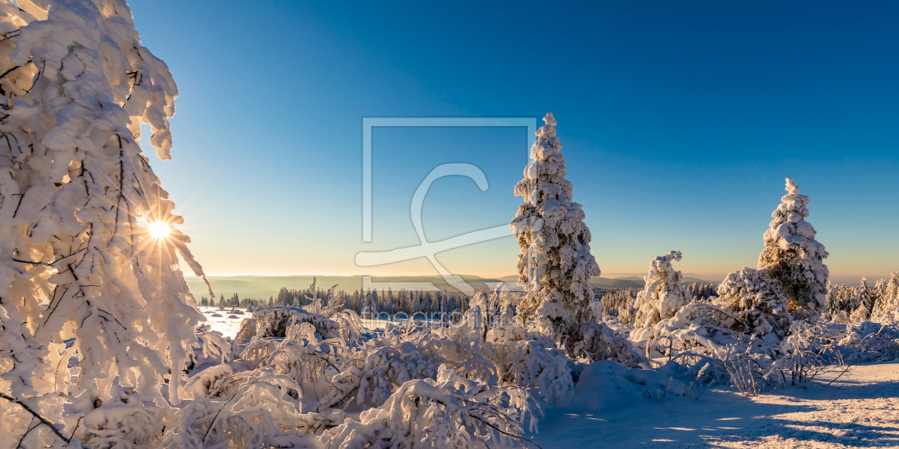 Bild-Nr.: 12917537 Sonnenaufgang am Schliffkopf im Schwarzwald erstellt von dieterich