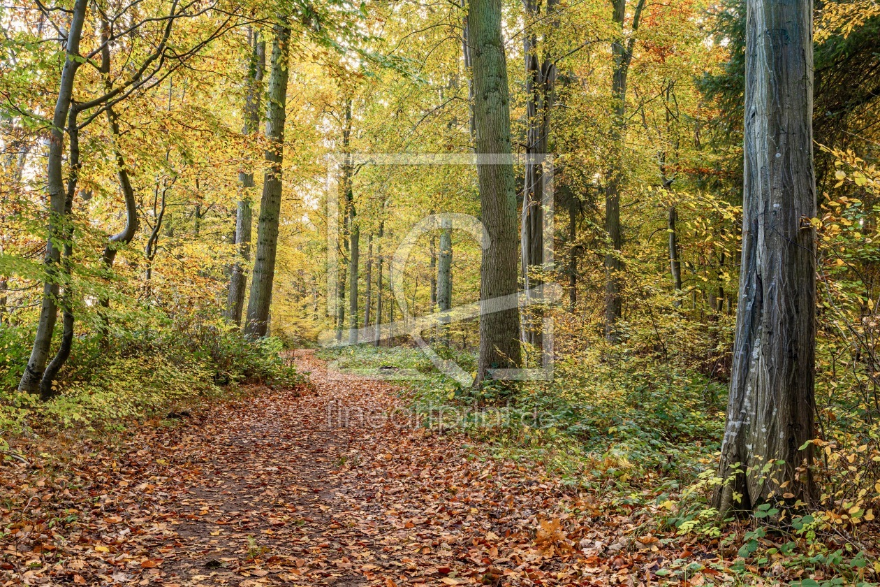 Bild-Nr.: 12917821 Verschlungene Pfade  erstellt von Ursula Reins