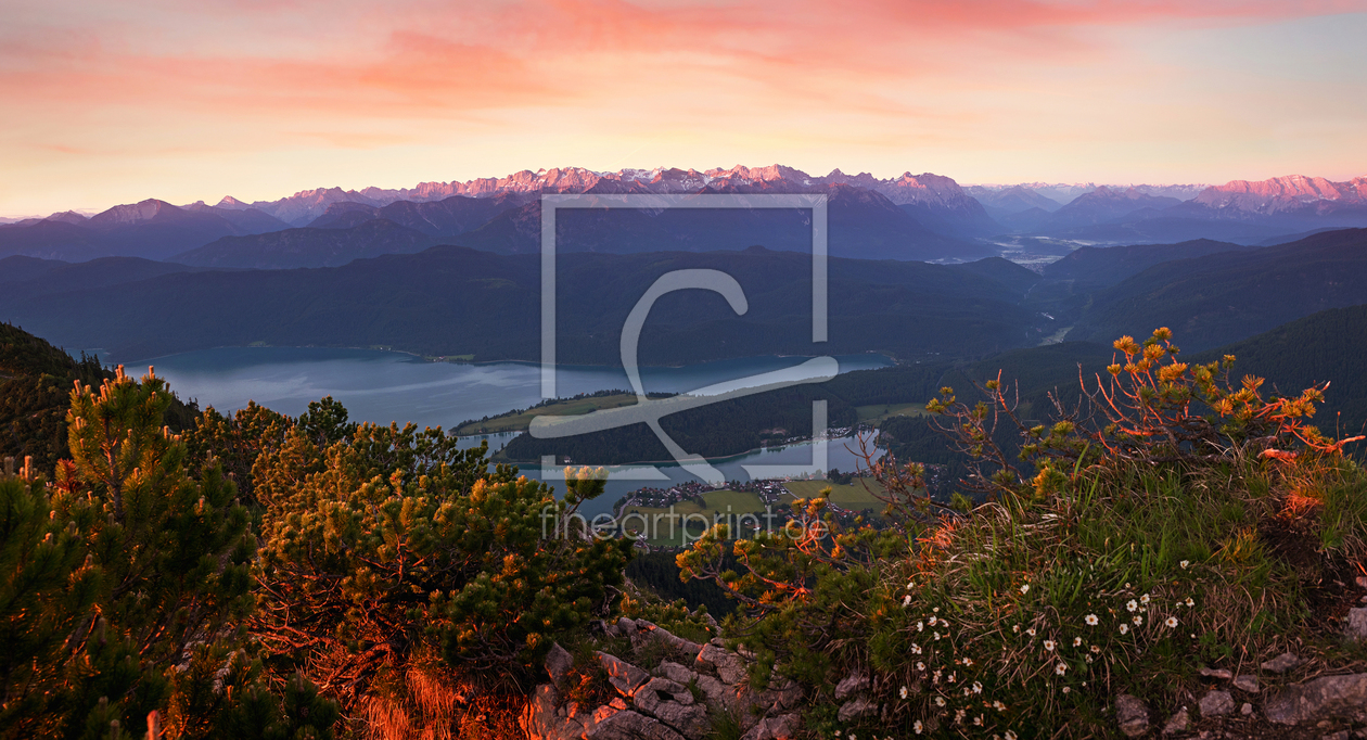 Bild-Nr.: 12918185 Morgenstimmung am Martinskopf mit Walchenseeblick erstellt von SusaZoom