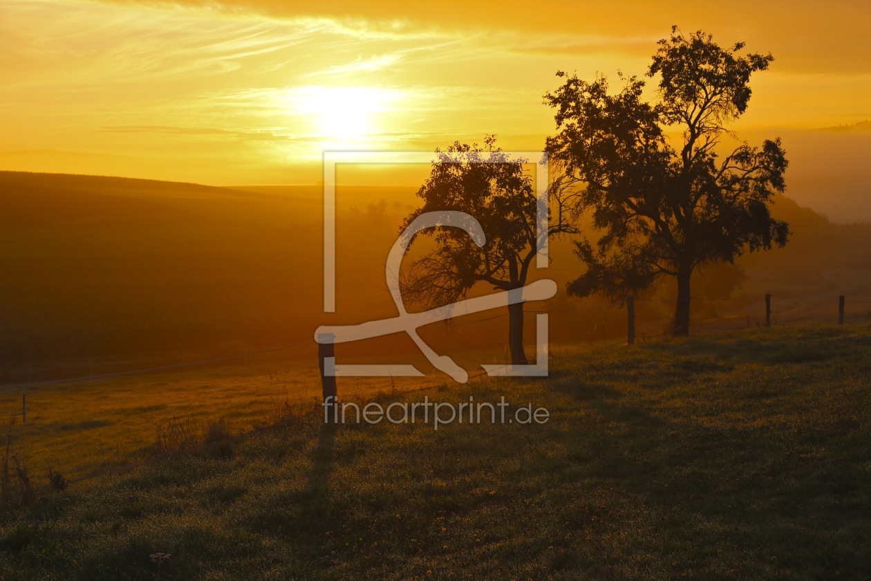 Bild-Nr.: 12918809 Morgenstund  erstellt von Ursula Reins