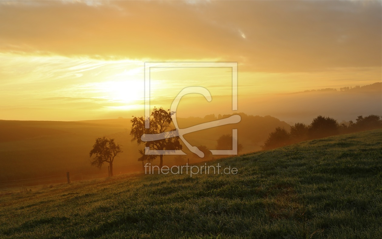 Bild-Nr.: 12918810 Herbstnebel erstellt von Ursula Reins