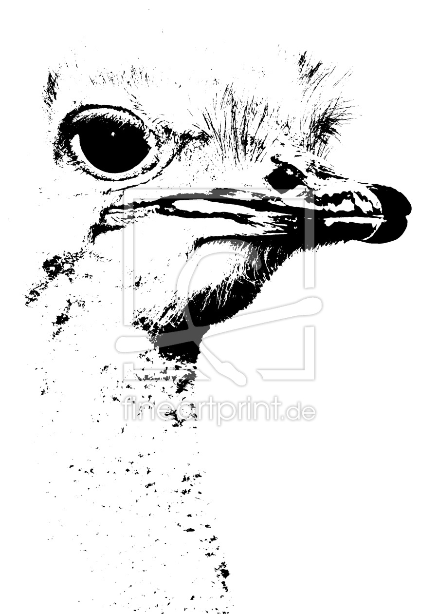 Bild-Nr.: 12920812 Vogel Strauss mixed media erstellt von Schwob