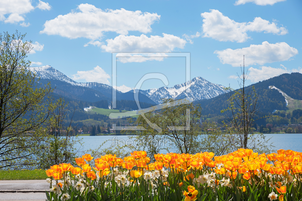 Bild-Nr.: 12921295 Frühling am Tegernsee erstellt von SusaZoom