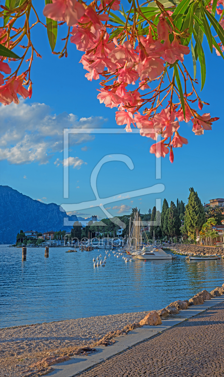 Bild-Nr.: 12922519 Malcesine Idylle erstellt von SusaZoom