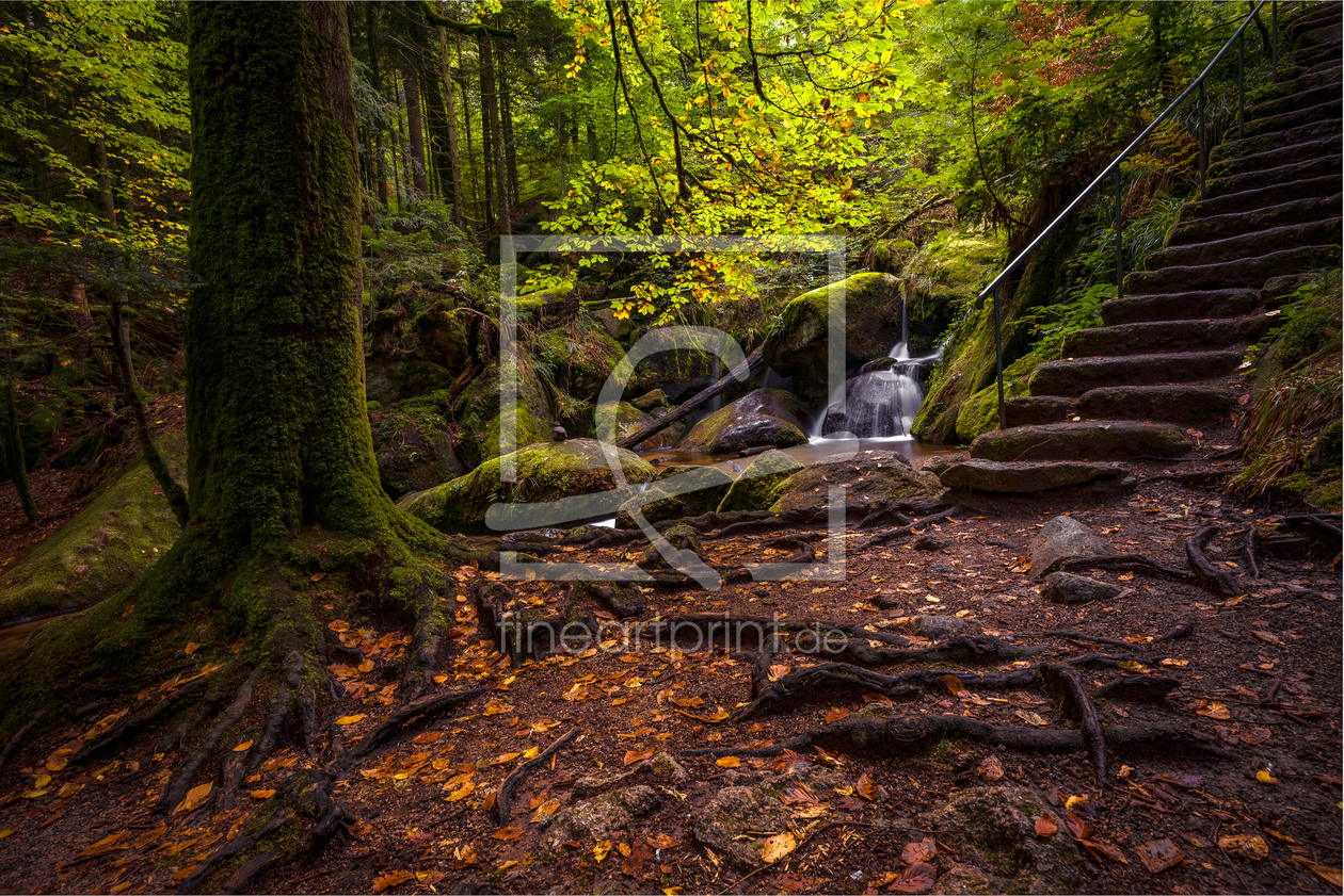 Bild-Nr.: 12924332 Secret Place erstellt von Thomas Koch