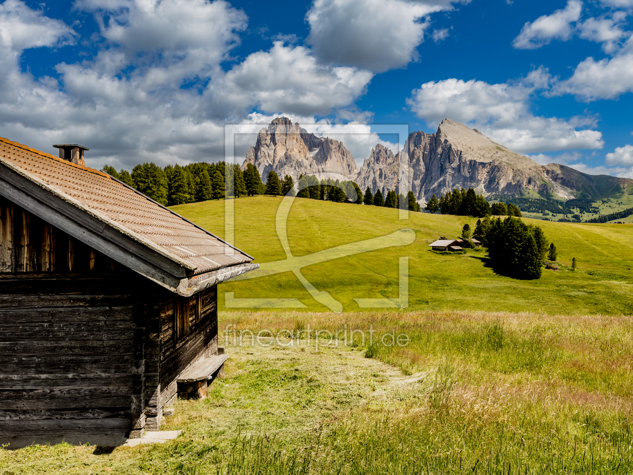 Bild-Nr.: 12928045 Seiser Alm erstellt von DirkR