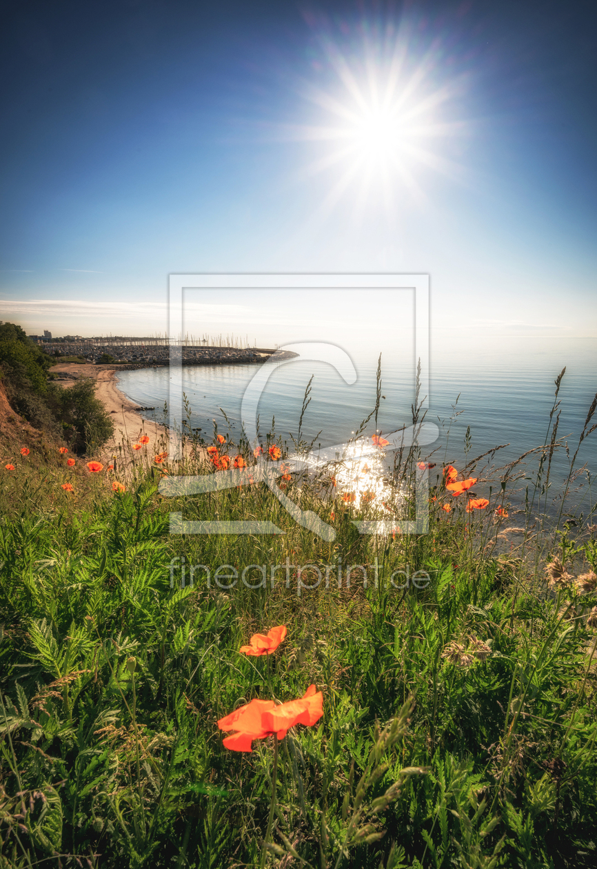 Bild-Nr.: 12928092 Mohnblumen auf der Steilküste erstellt von Nordbilder