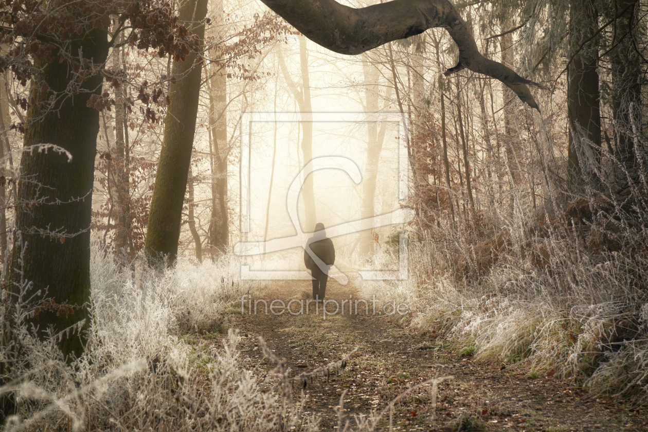 Bild-Nr.: 12930047 Einsamer Spaziergang im Winterwunderland erstellt von Smileus