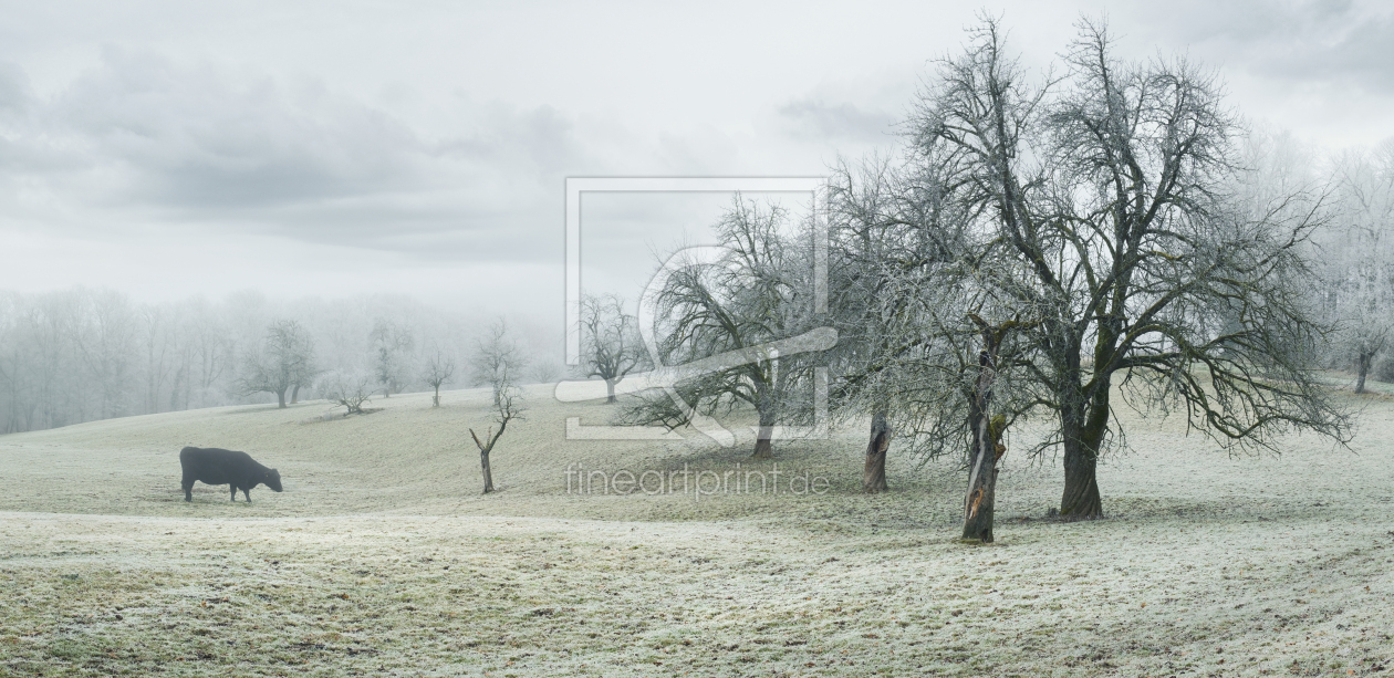 Bild-Nr.: 12930063 Idyllische Landschaft mit Raureif und Kuh erstellt von Smileus
